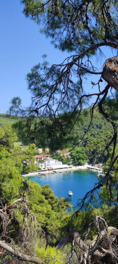 Skopelos Country House Diamantis & Chrisi Agnontas Exterior photo